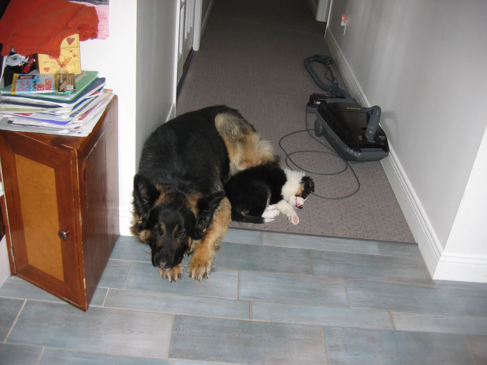 Photo 219