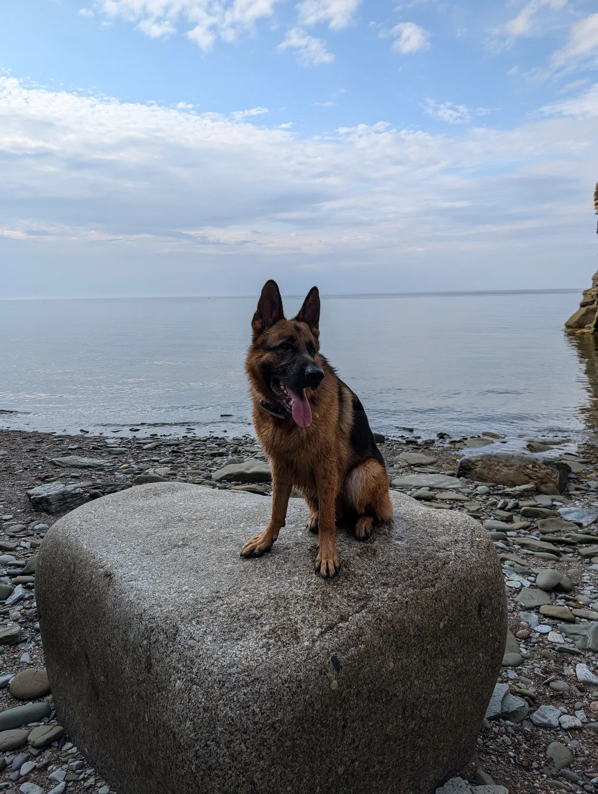 Back at pokeshaw on a rock hidden in an alcove