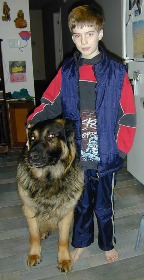 Photo 48