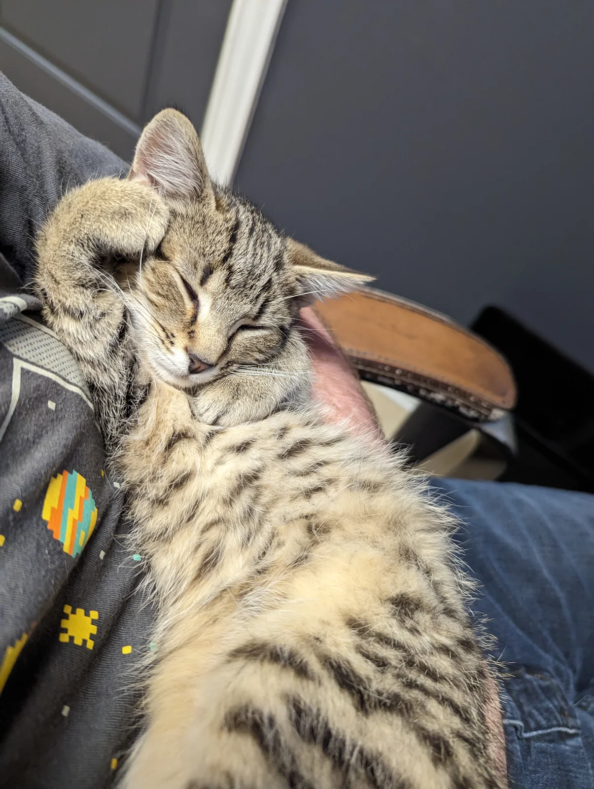 I guess this is comfortable?
