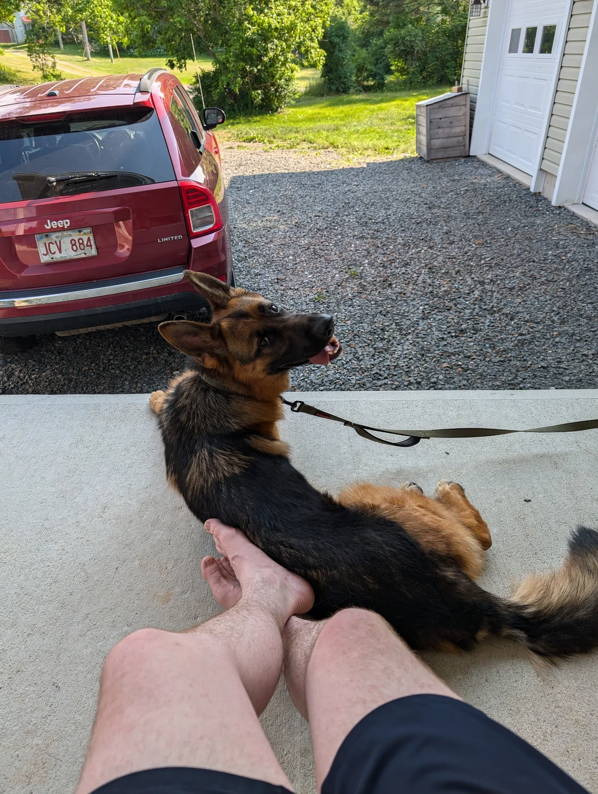 Hanging out on the front porch