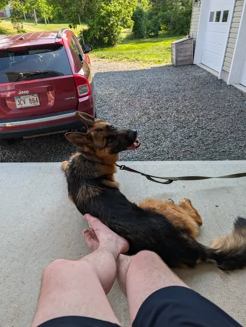 Hanging out on the front porch