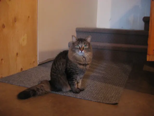 Tigger