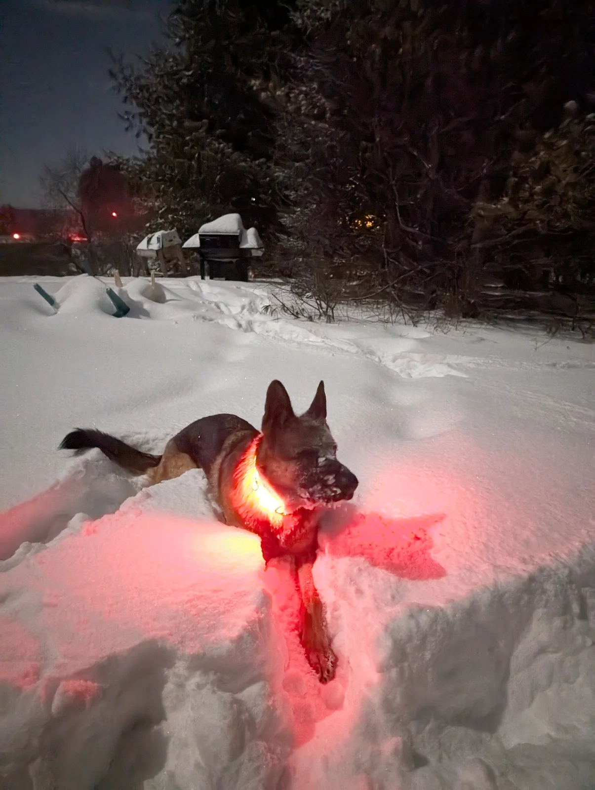 Our for a run in the snow at night!