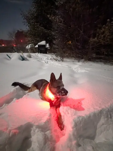 Our for a run in the snow at night!