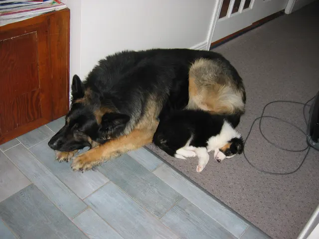 Photo 220