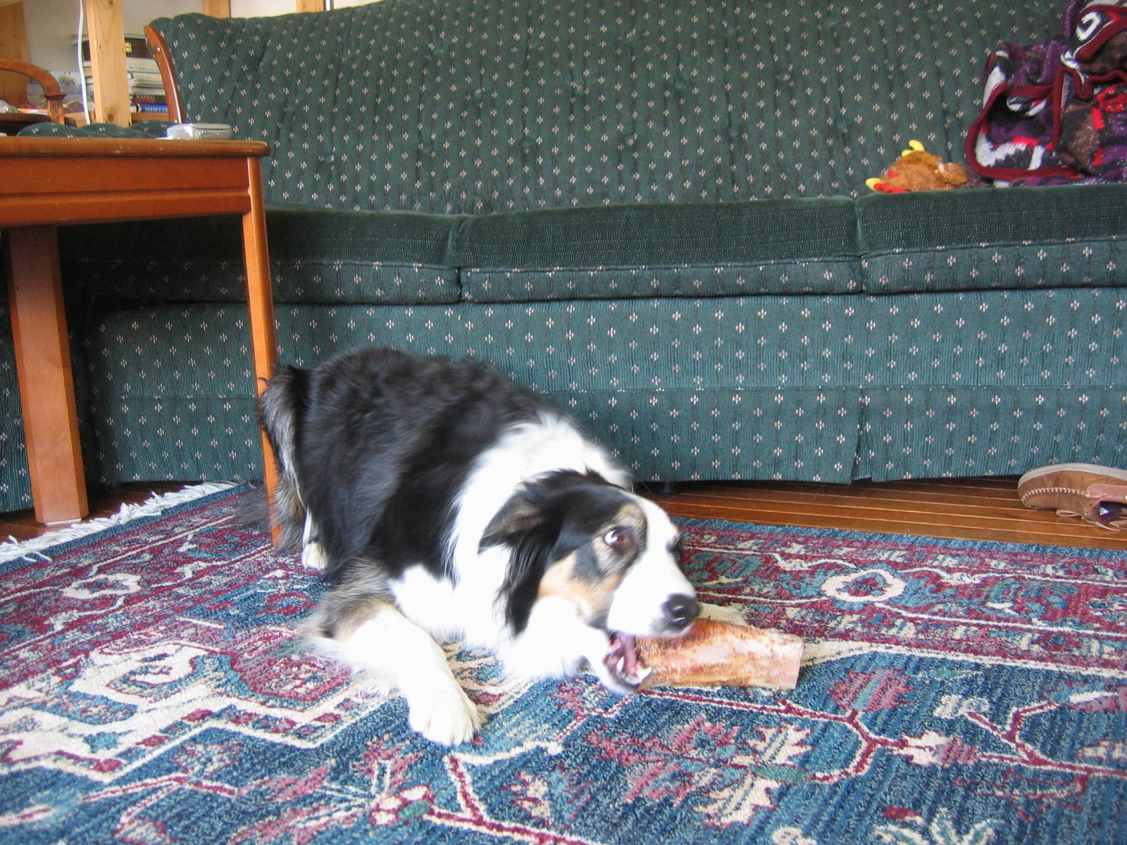 Photo 446