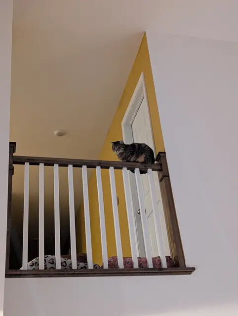 This can't be safe...