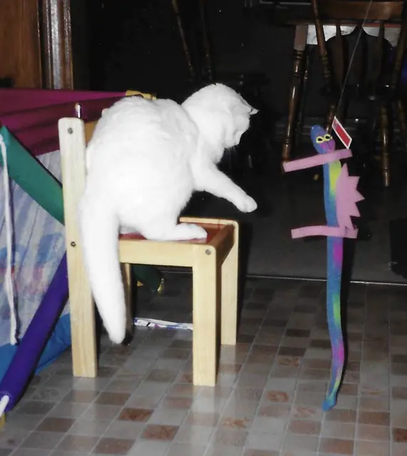 Photo 583