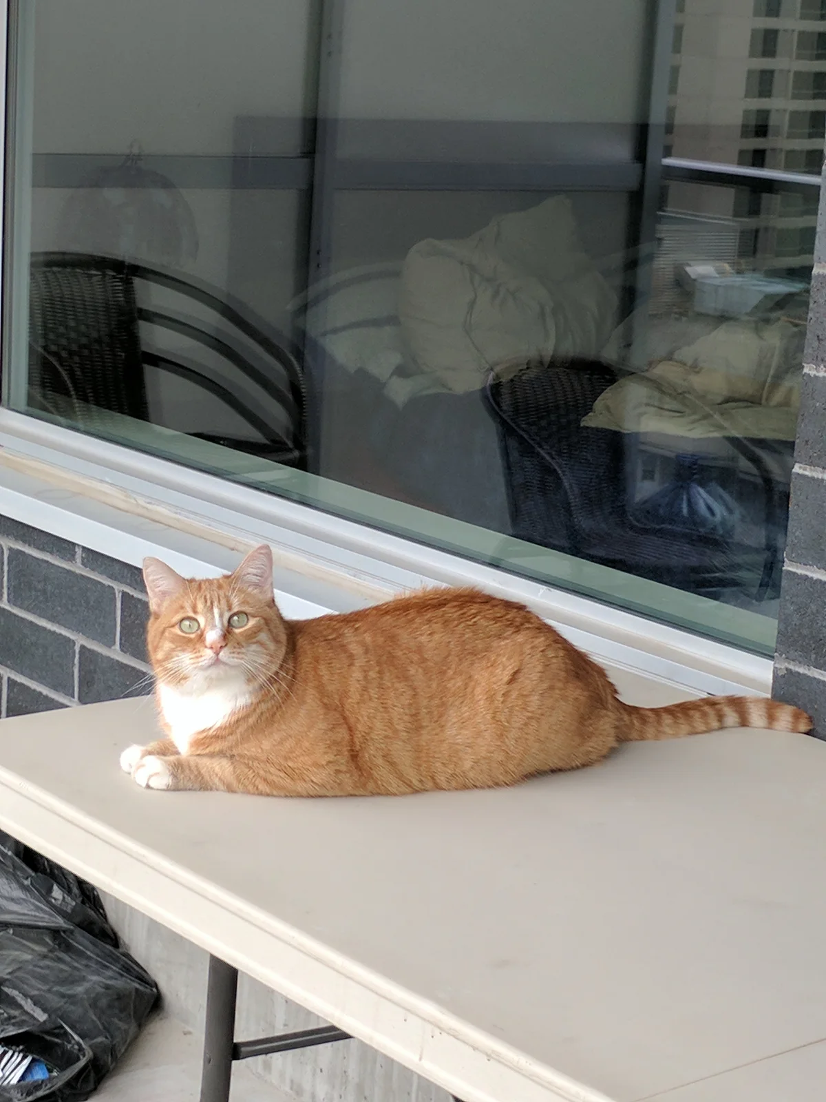 Photo 719