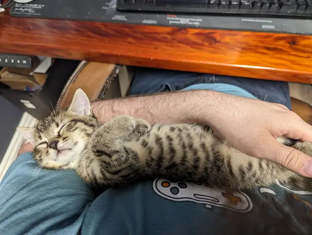 Relaxing in my office