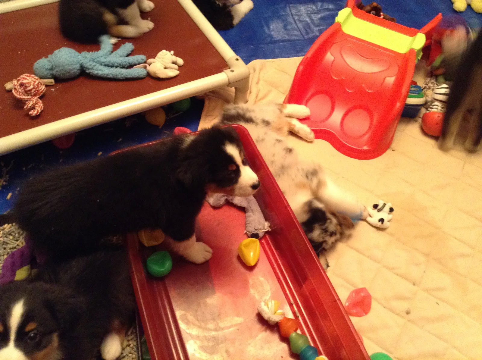 Photo 426