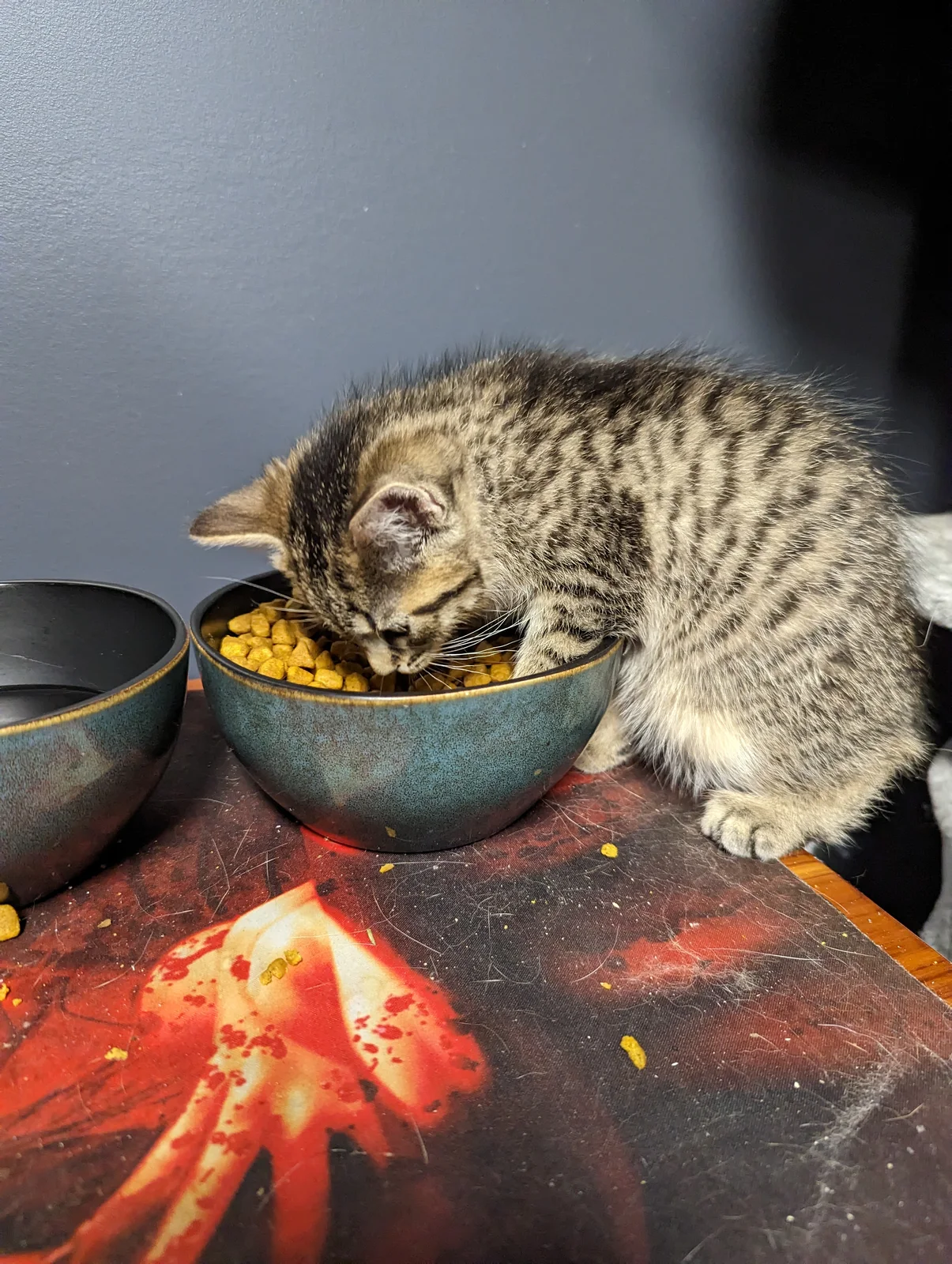 Feet in food!