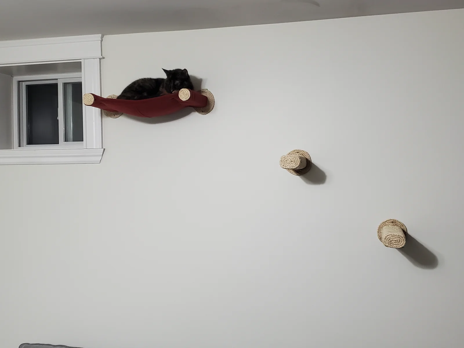 Photo 915