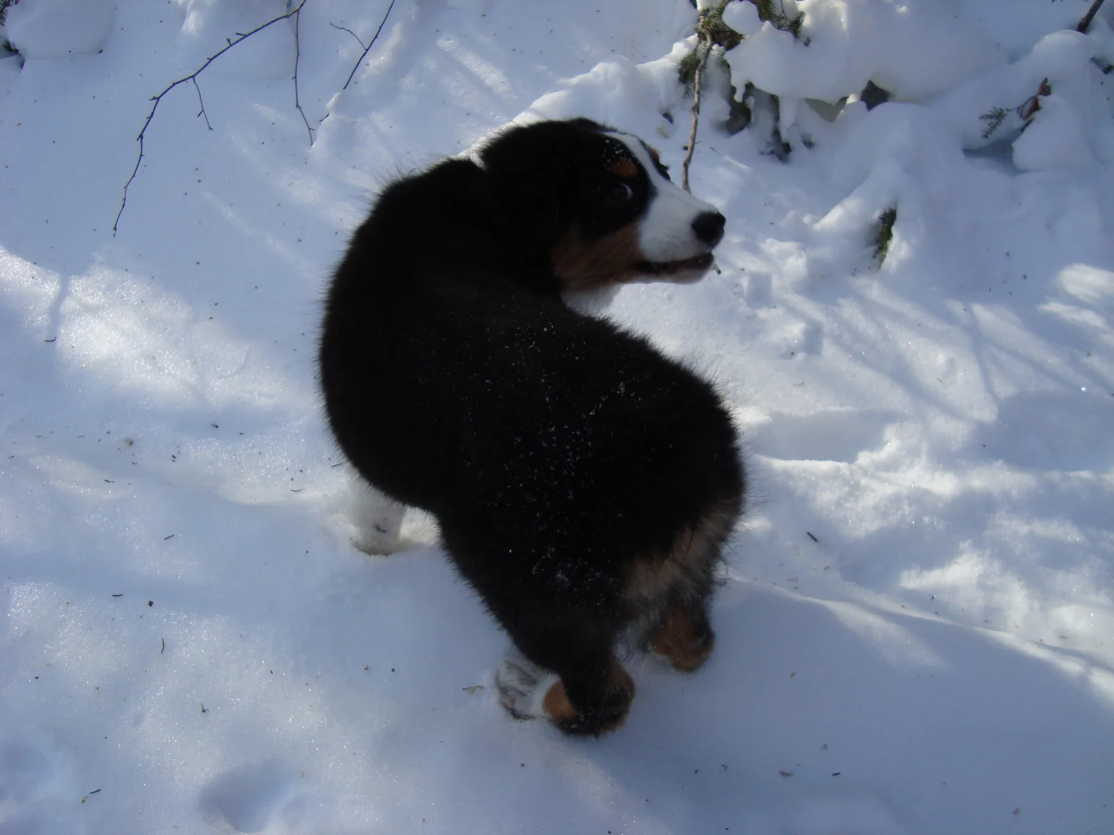 Photo 421