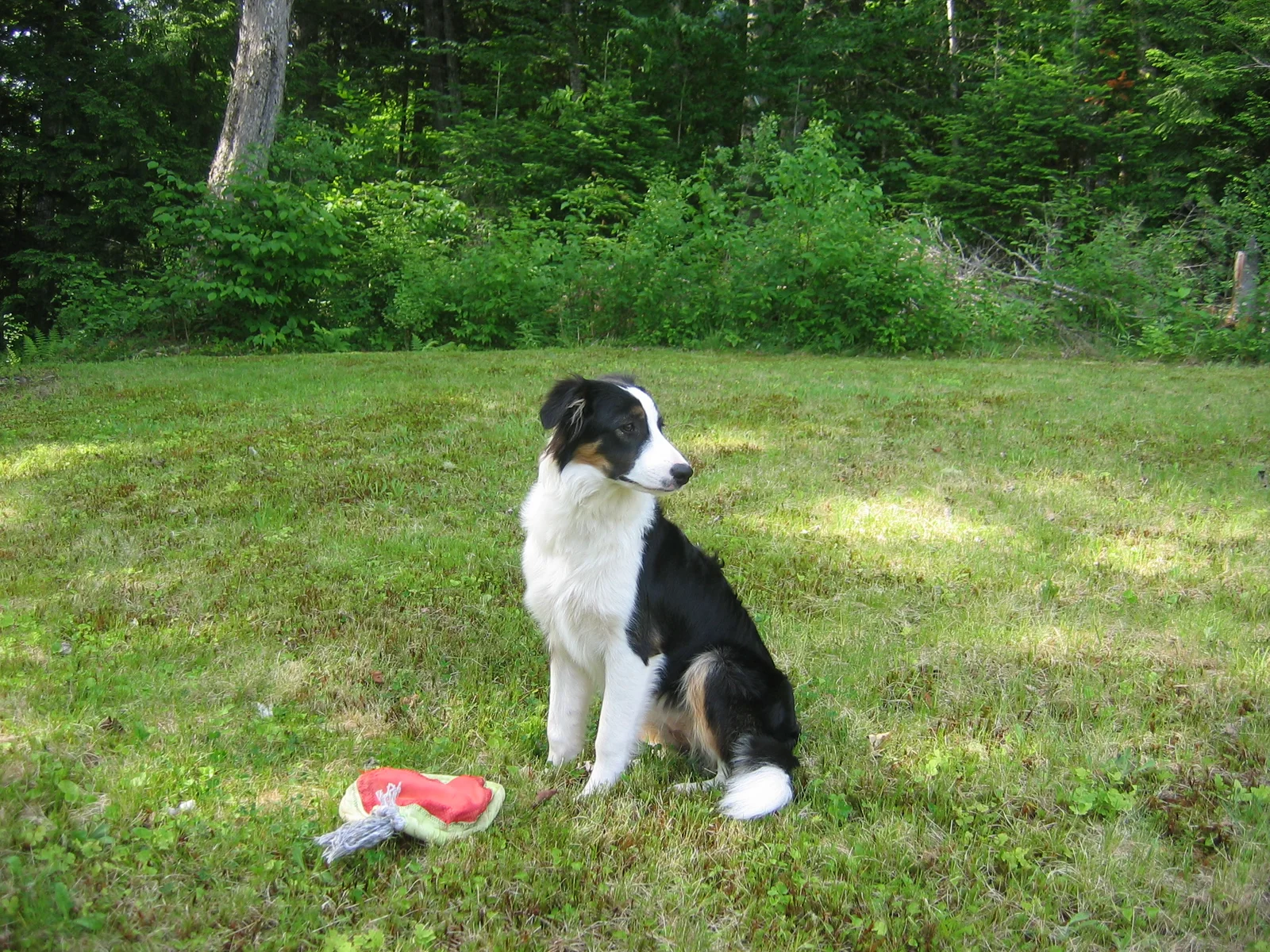 Photo 265