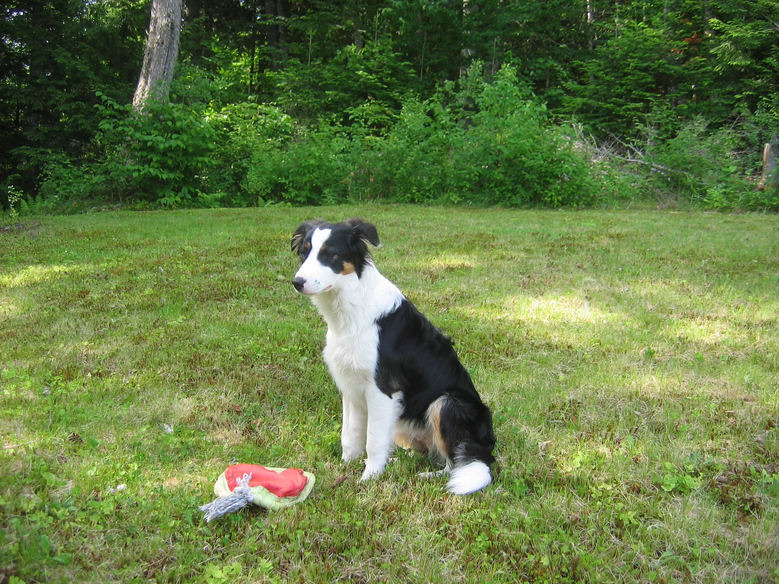 Photo 264