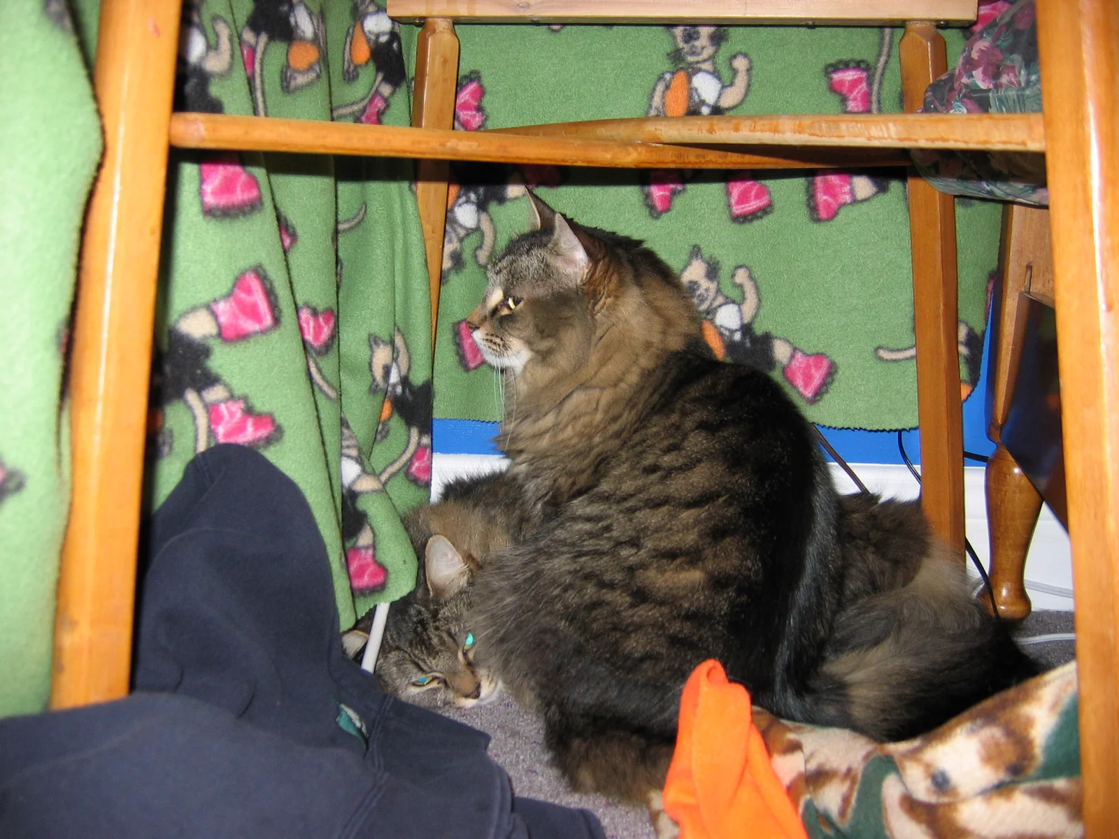 Photo 68