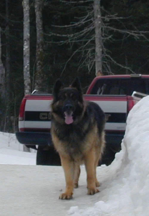 Photo 47
