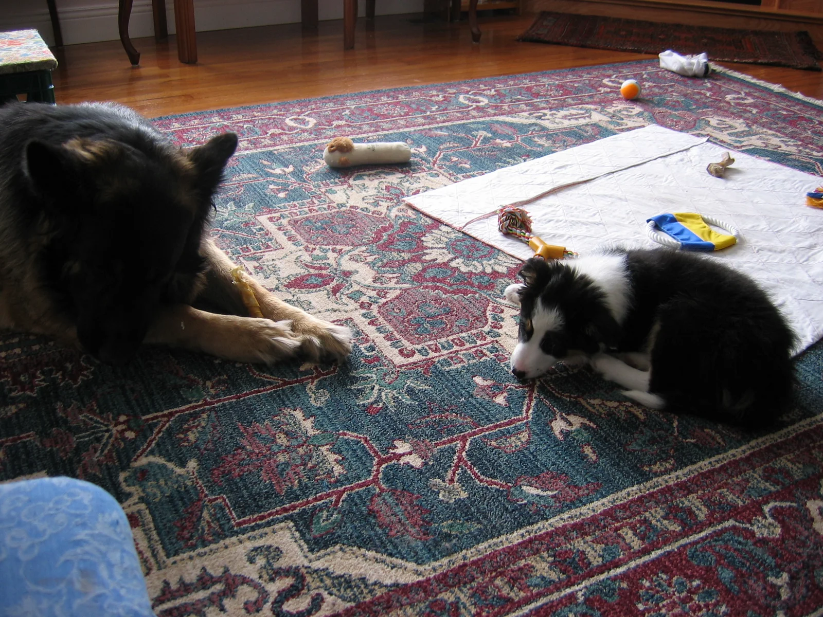 Photo 223