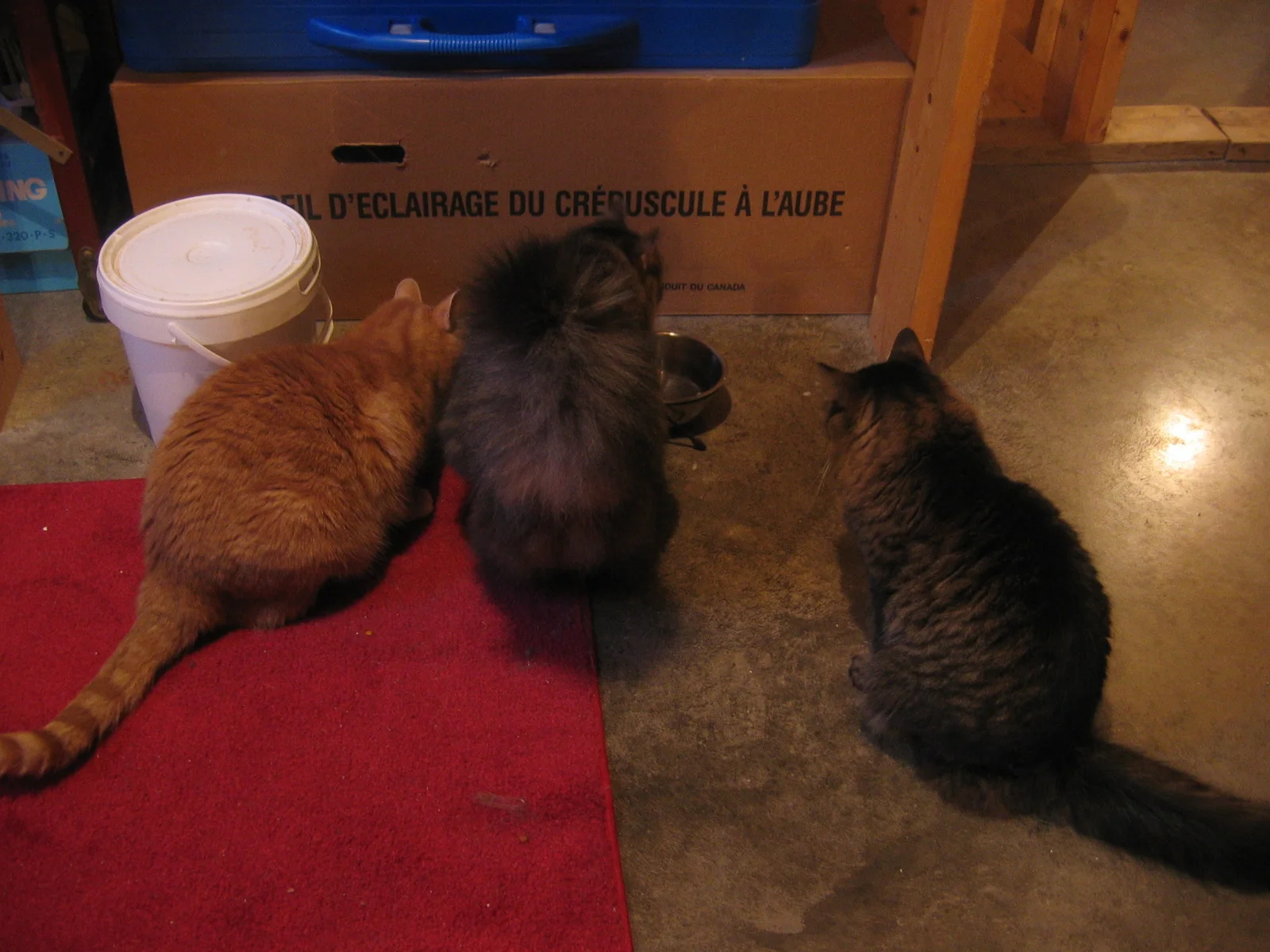 Photo 284