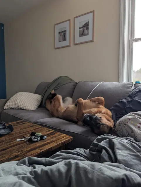 Lazy boy on the couch
