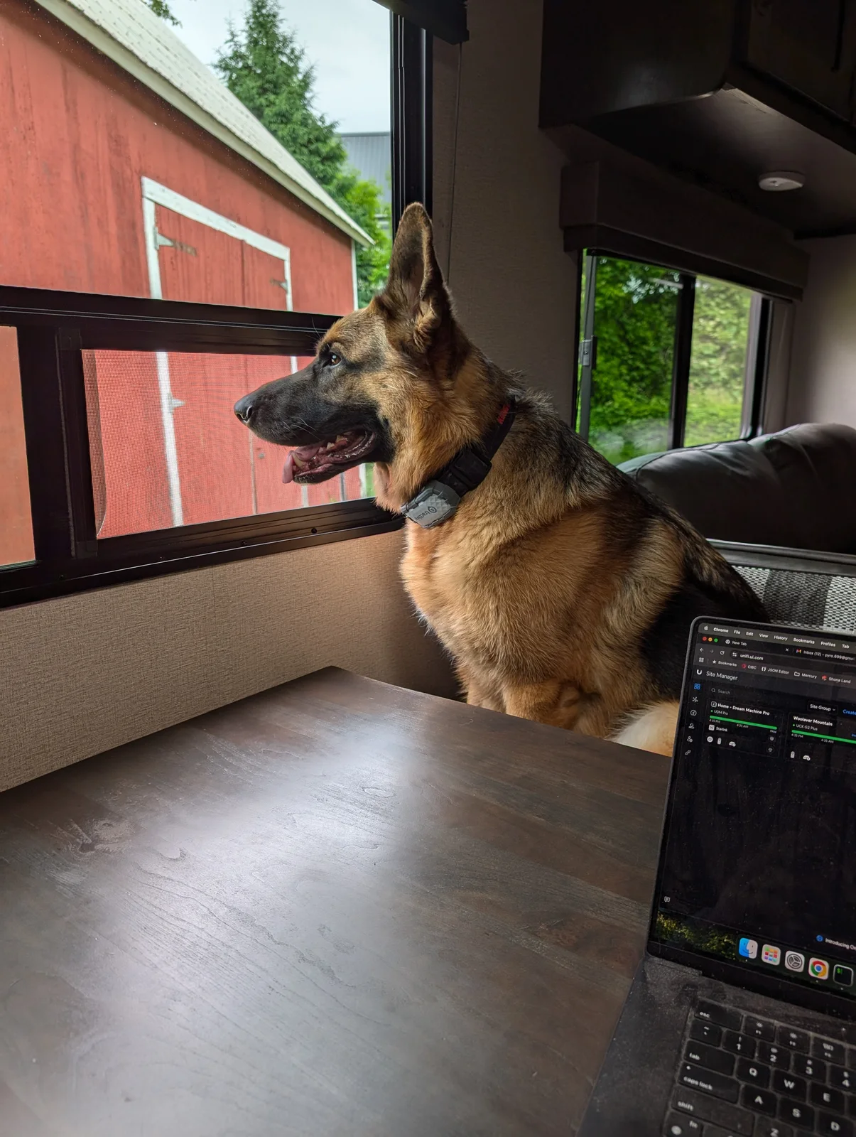 Archer hanging out in the camper