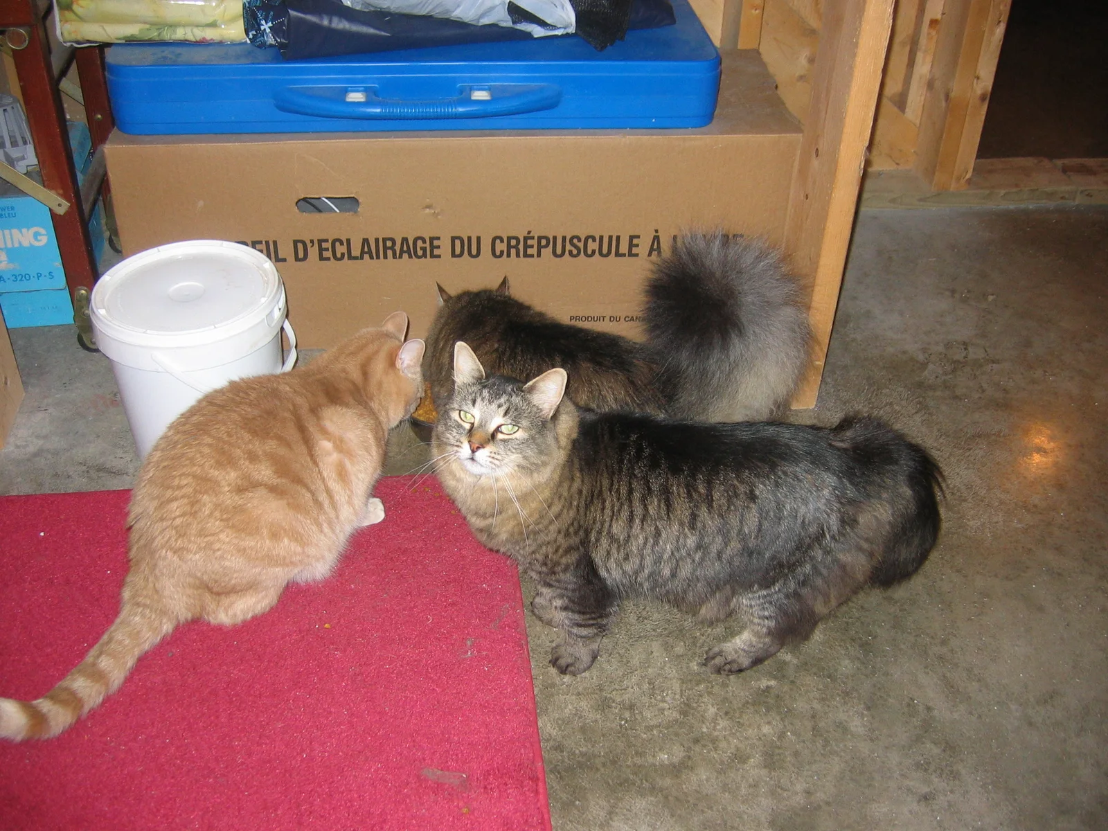 Photo 283
