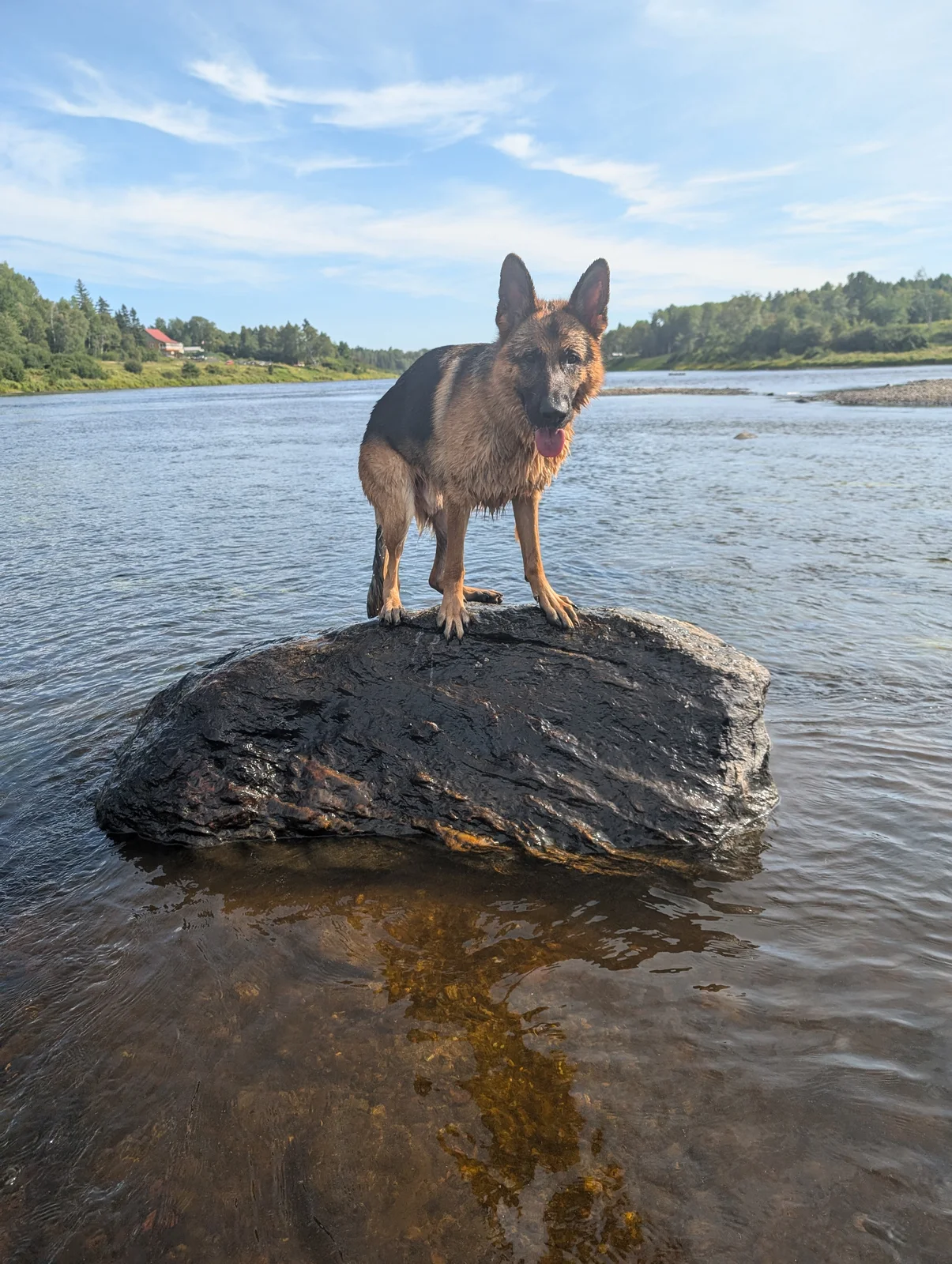 This was taken in blackville during our blord island getaway!