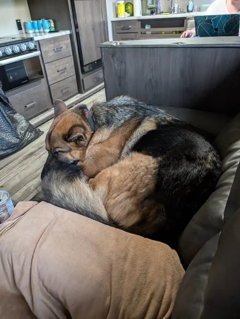 Clearly not Rileys chair in the camper, just his