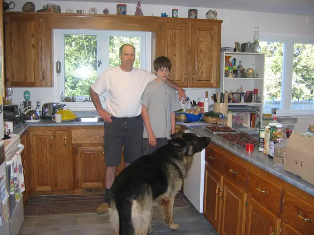Bruno smelling the beef jerky that my dad and I were making