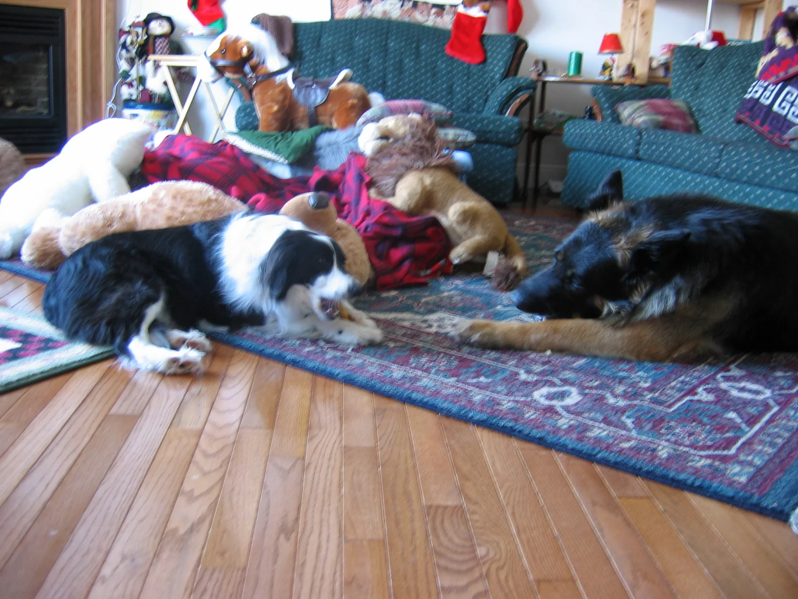 Photo 210