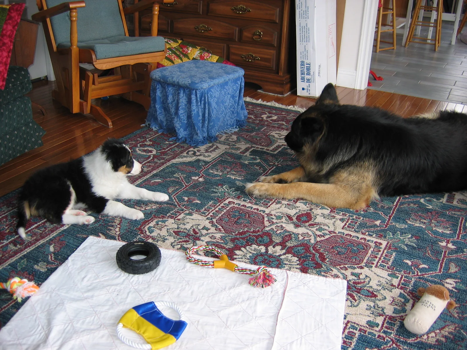 Photo 225