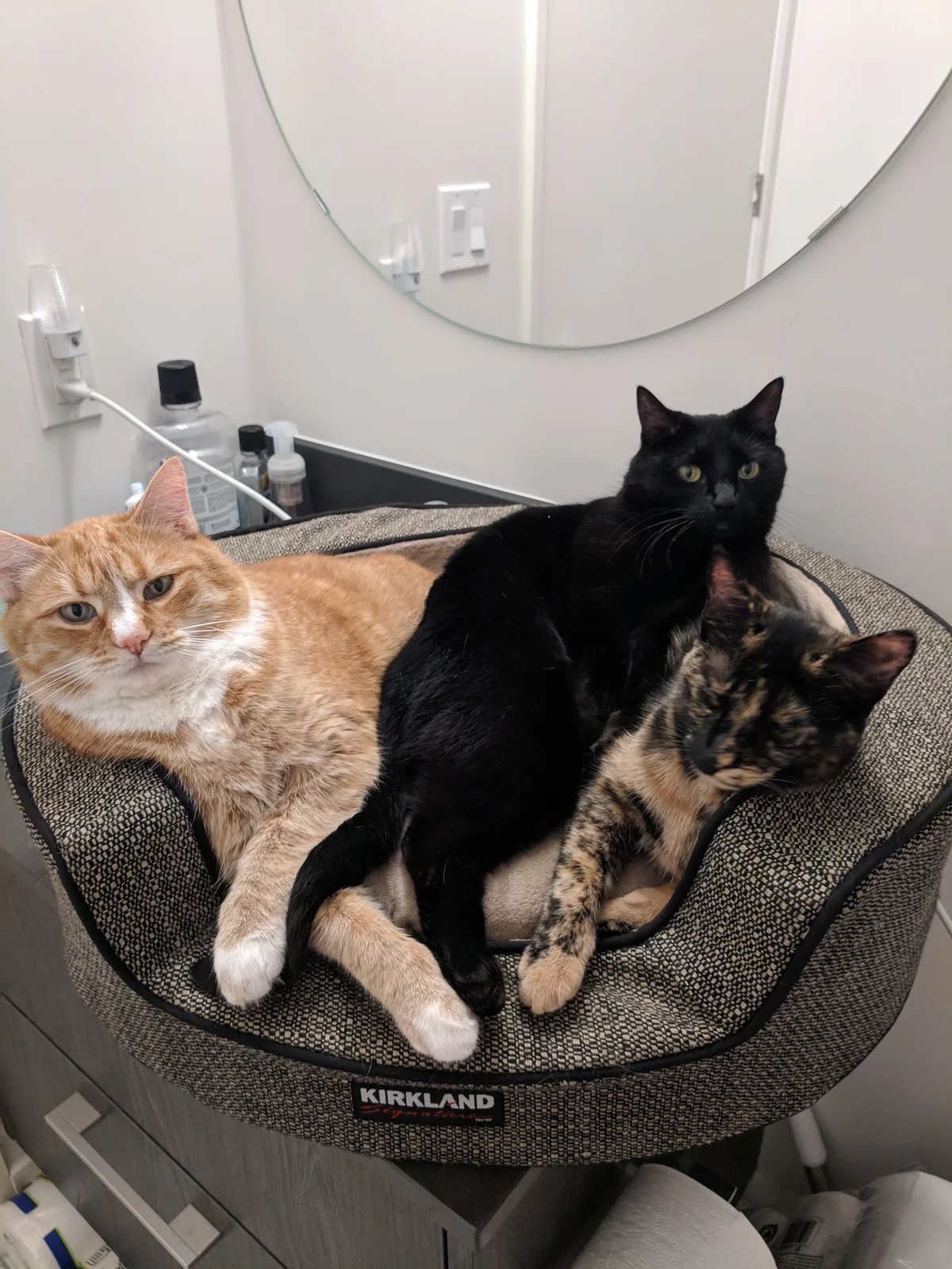 Photo 781