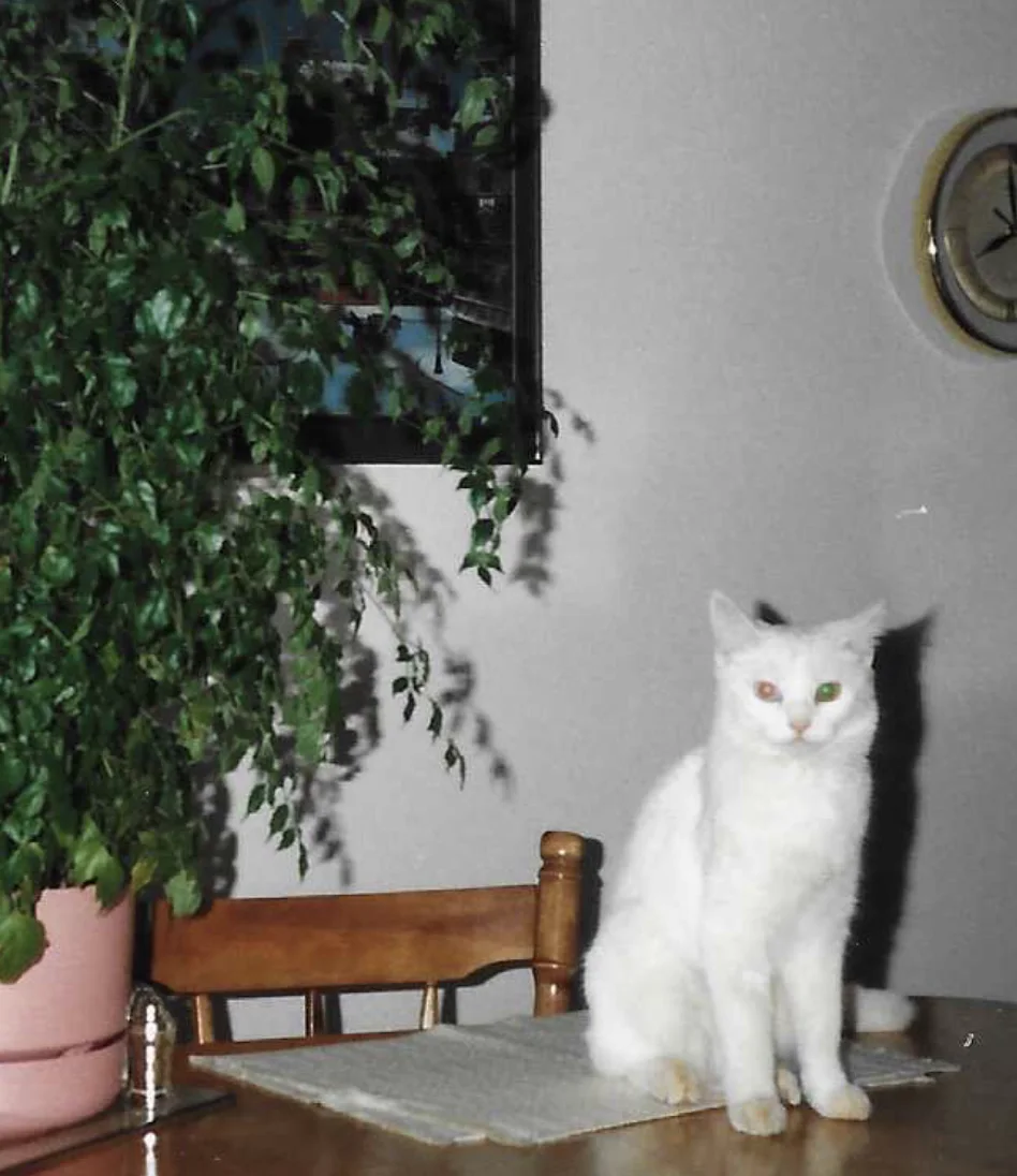 Photo 577