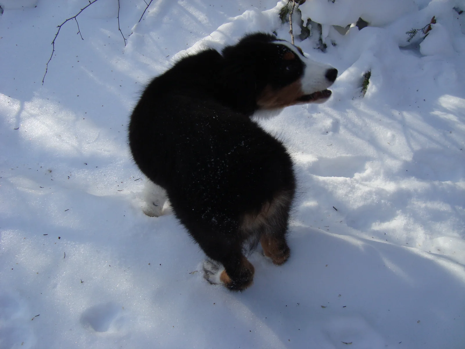 Photo 422