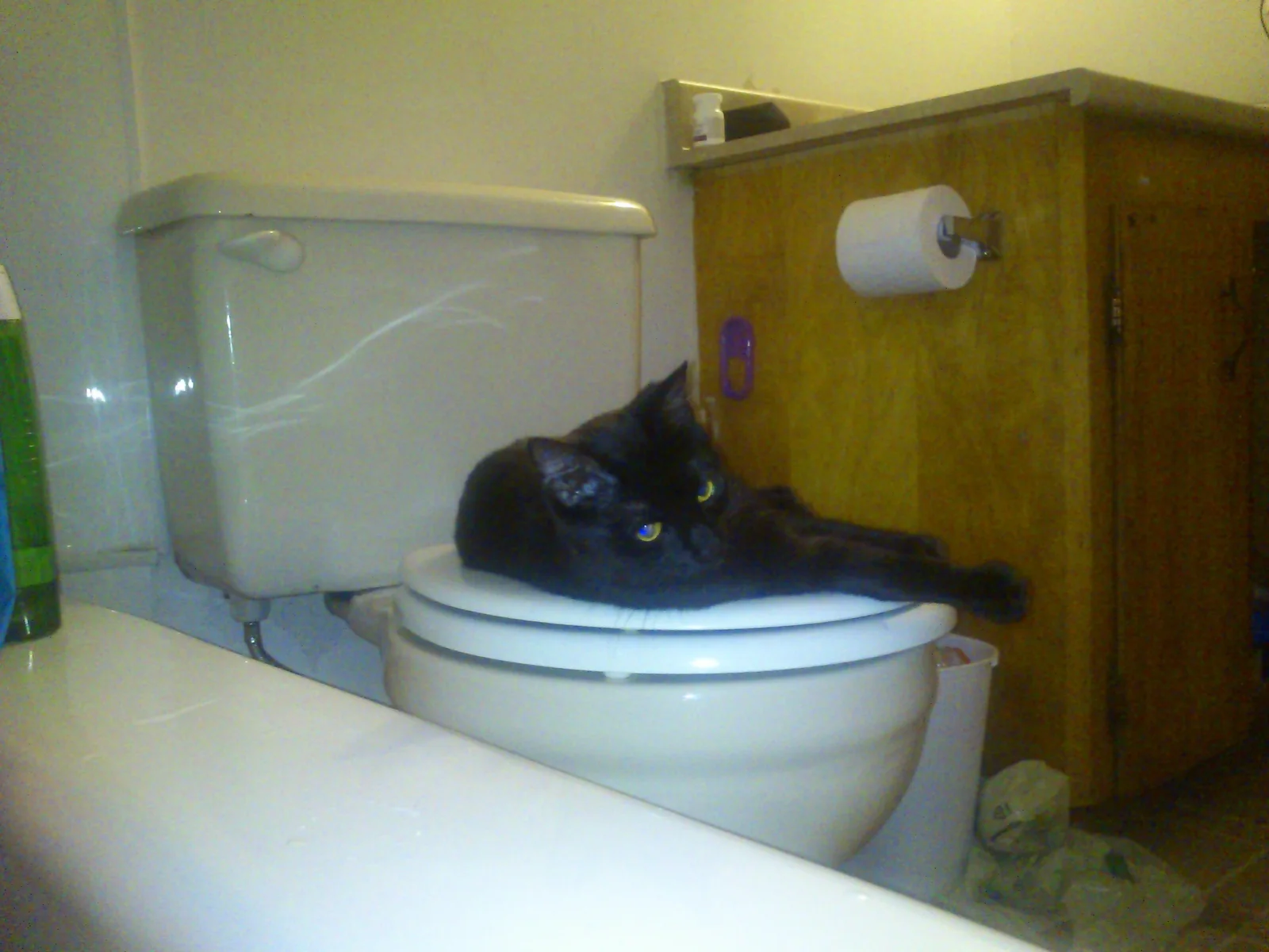 Photo 918