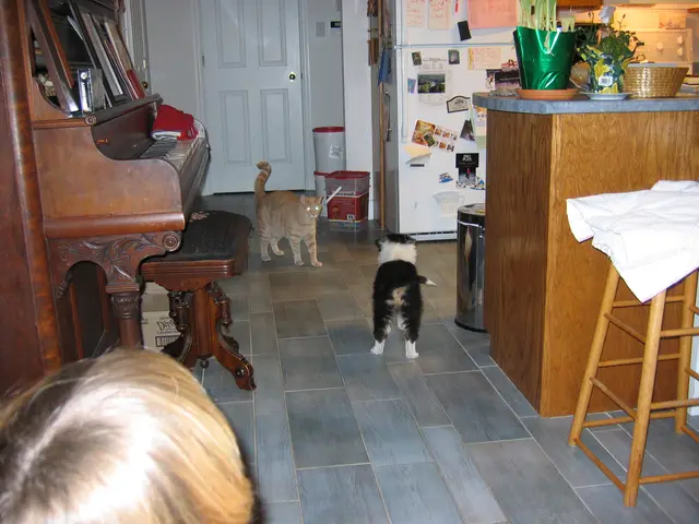 Casey and TC meet for the first time