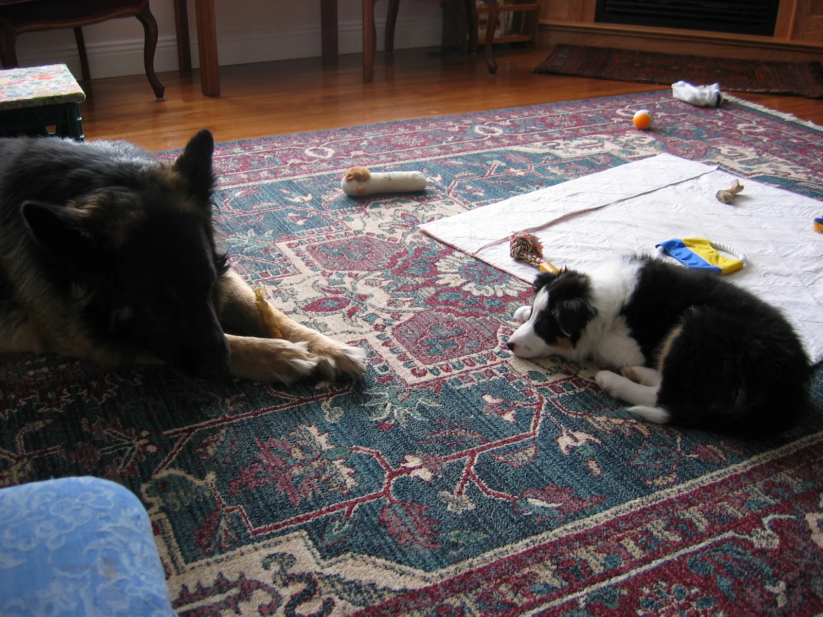 Photo 222