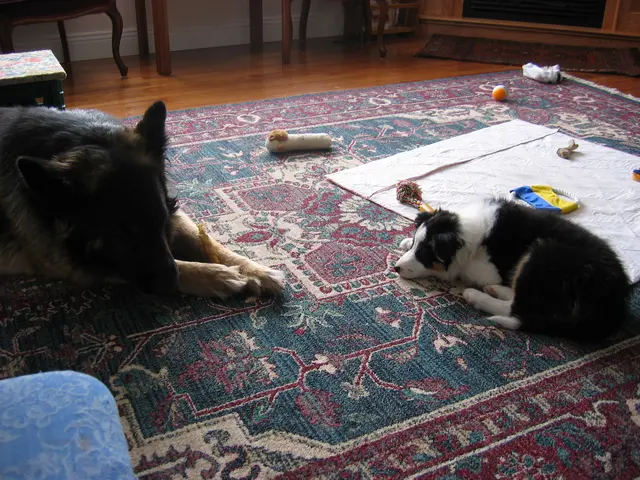 Photo 222