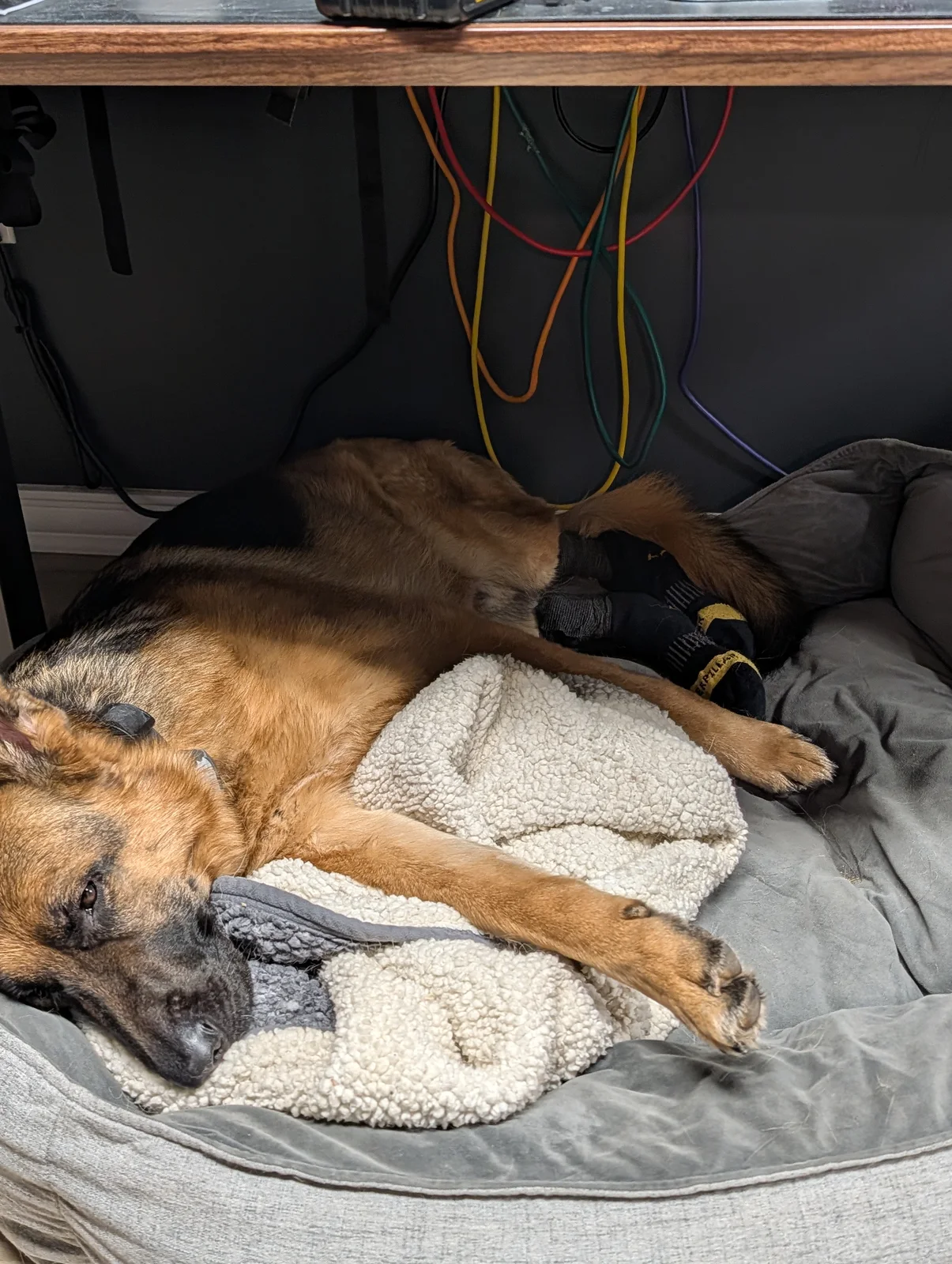 Office naps!