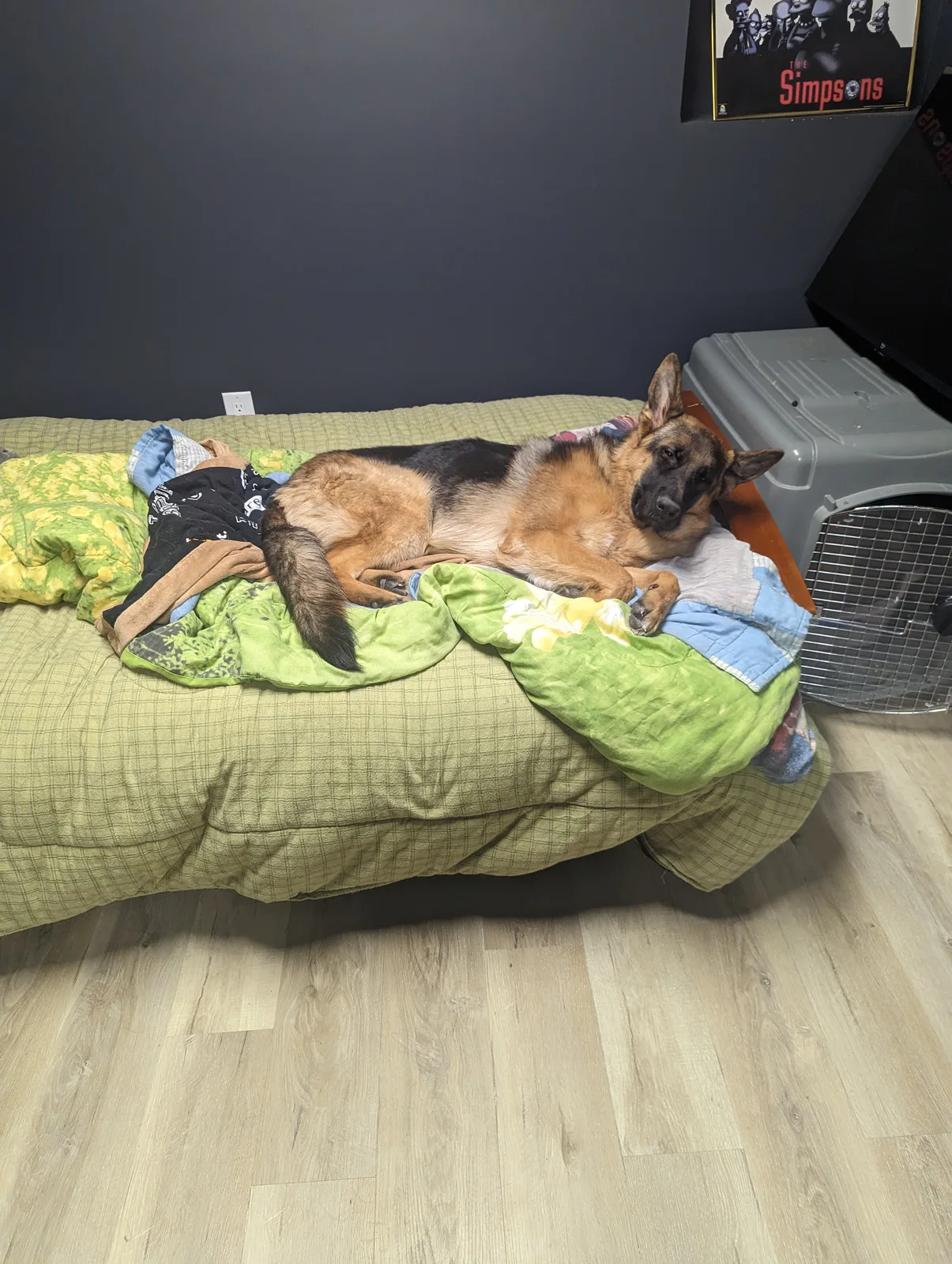 Napping in my office