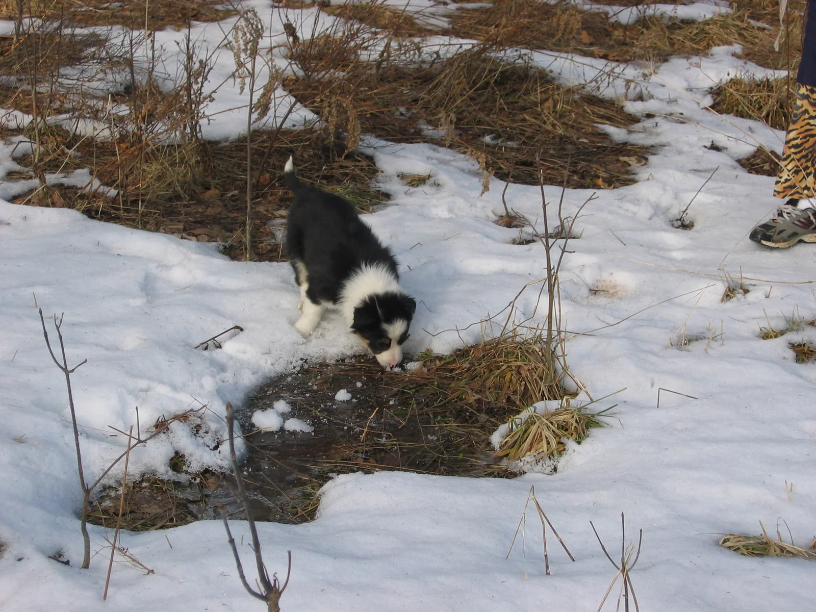 Photo 143
