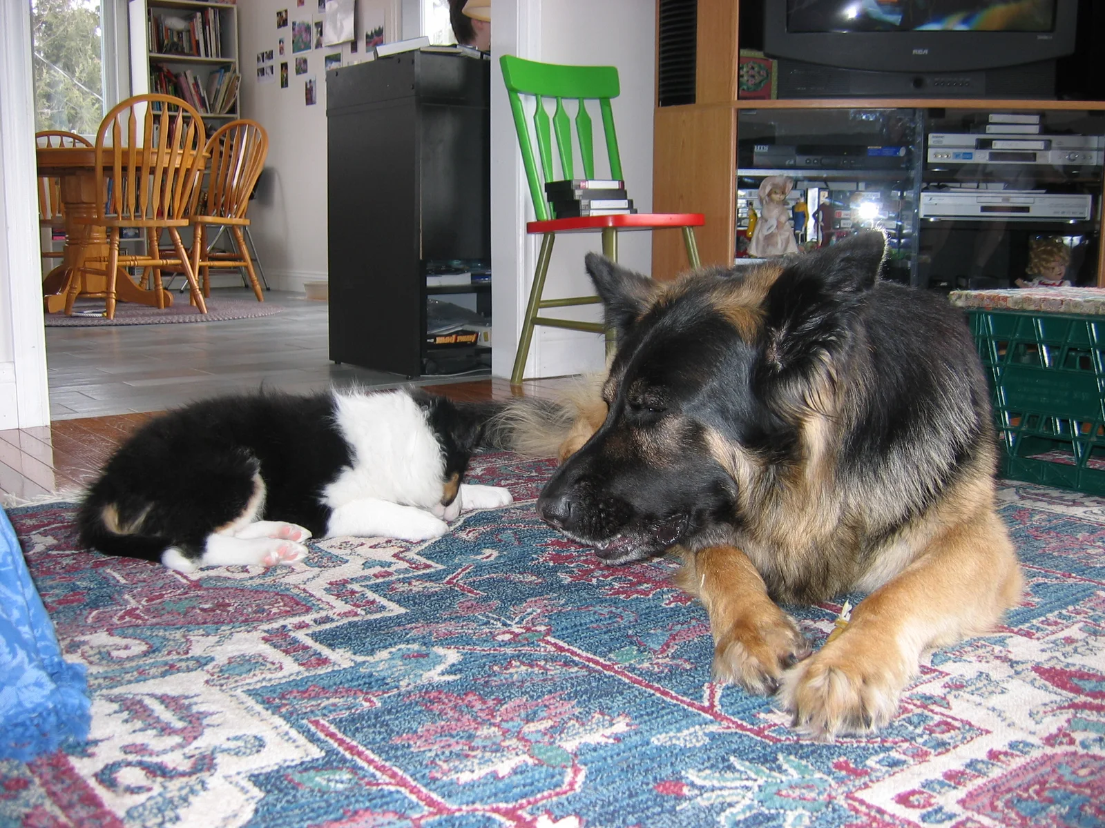 Photo 227