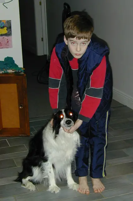 Photo 49
