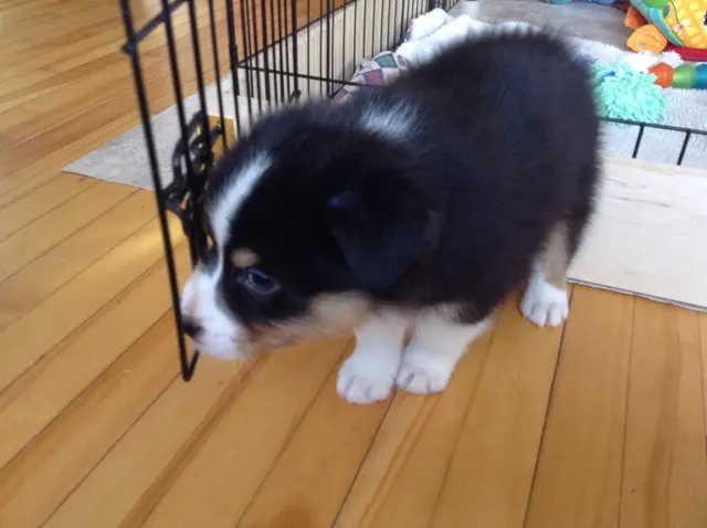 First photo of Hunter