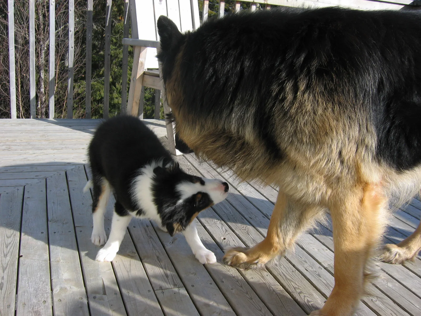 Photo 190